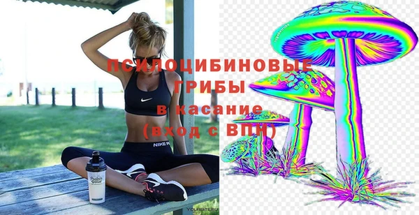 дживик Покровск