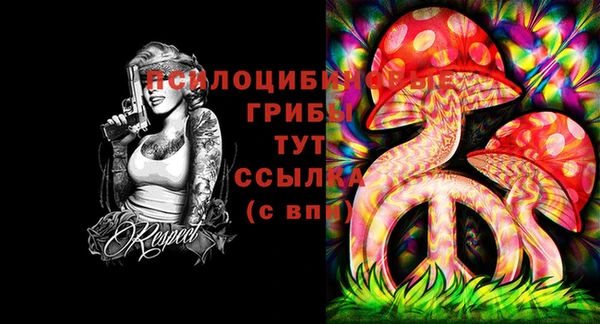 дживик Покровск