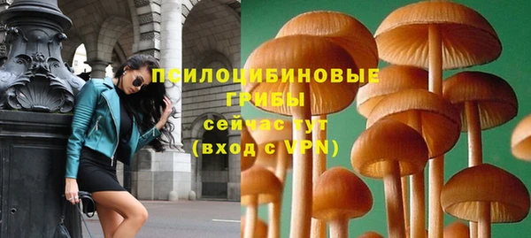 дживик Покровск